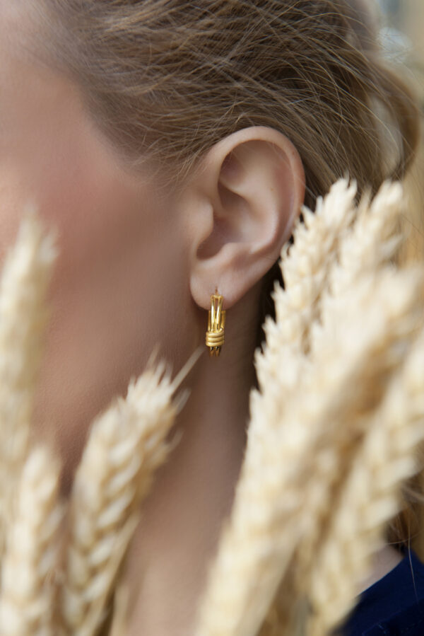 Desire Earrings - 